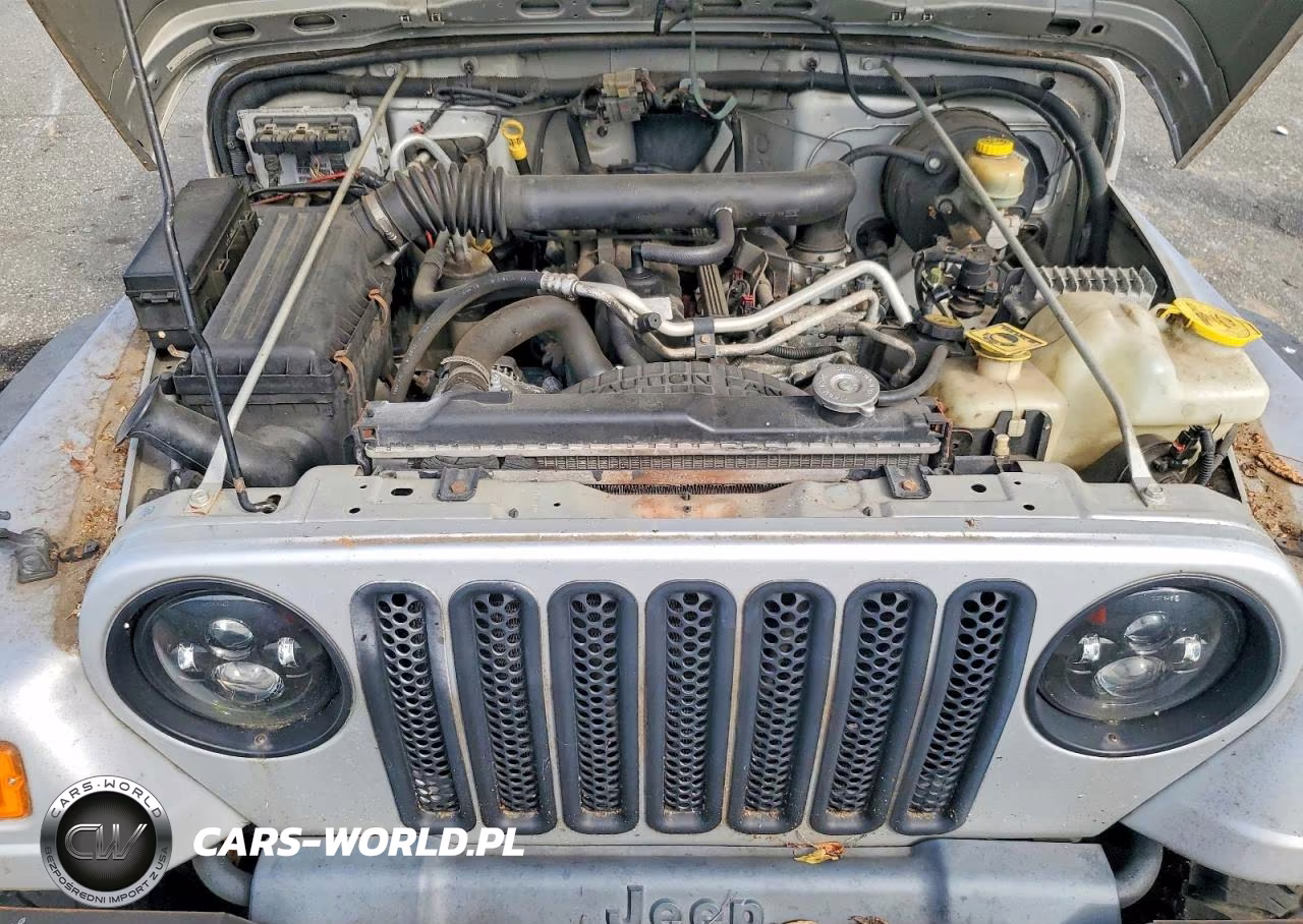 2004 Jeep Wrangler X VIN:1J4FA39S24P707251 - 11