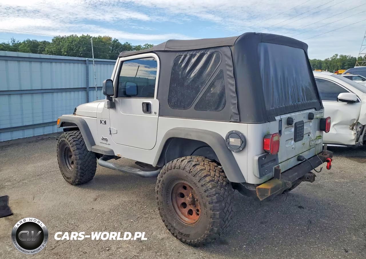 2004 Jeep Wrangler X VIN:1J4FA39S24P707251 - 2