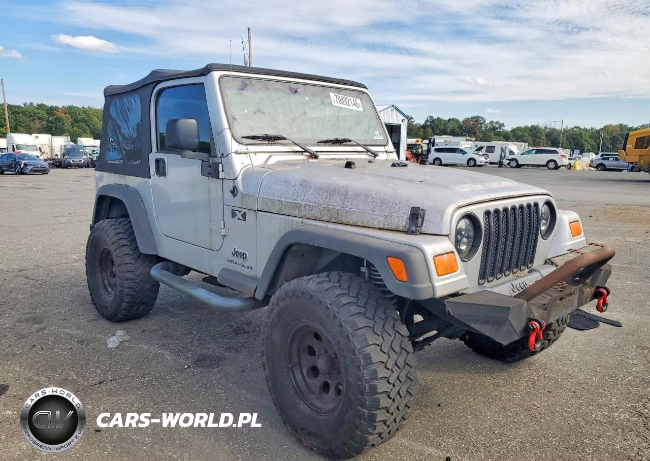 2004 Jeep Wrangler X VIN:1J4FA39S24P707251 - 4