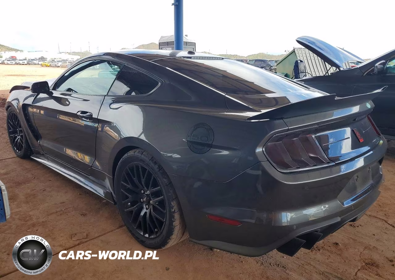 2019 Ford Mustang Gt VIN:1FA6P8CF4K5200623 - 2