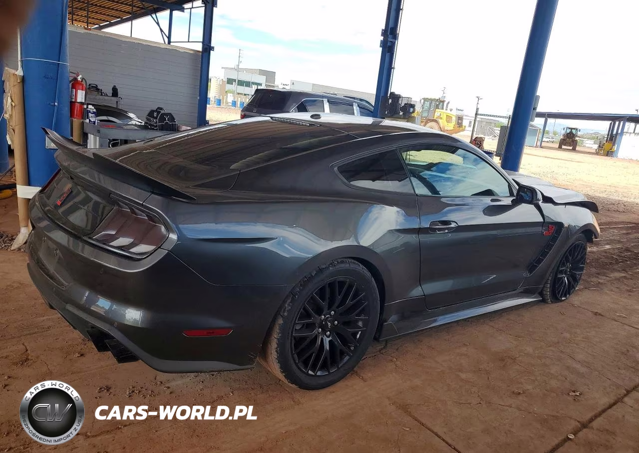 2019 Ford Mustang Gt VIN:1FA6P8CF4K5200623 - 3