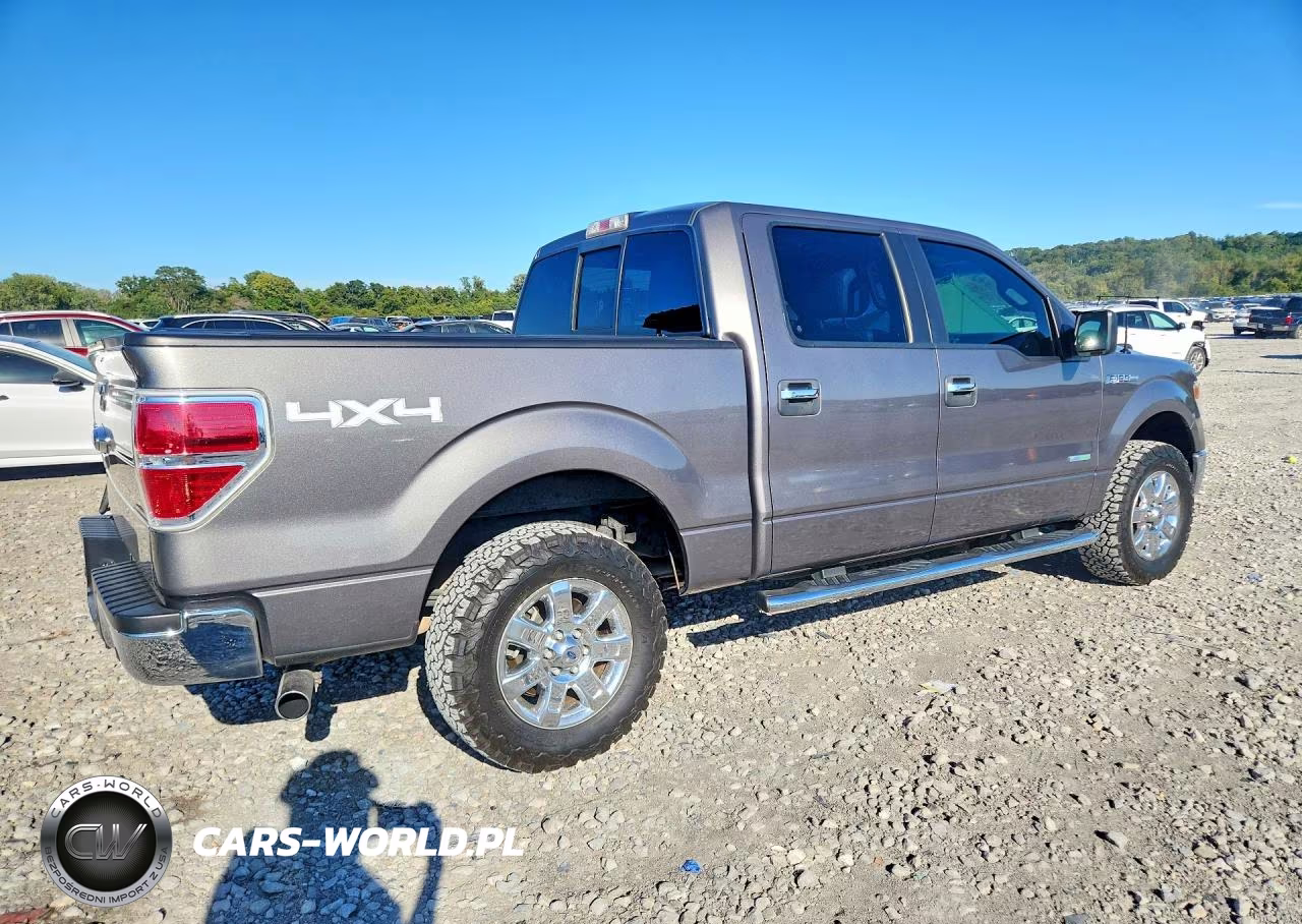 2014 Ford F150 Supercrew VIN:1FTFW1ET5EKD97976 - 3