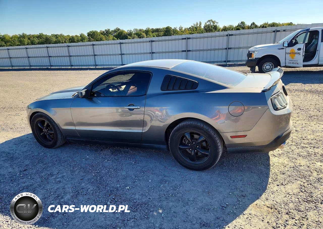 2011 Ford Mustang VIN:1ZVBP8AM5B5125115 - 2