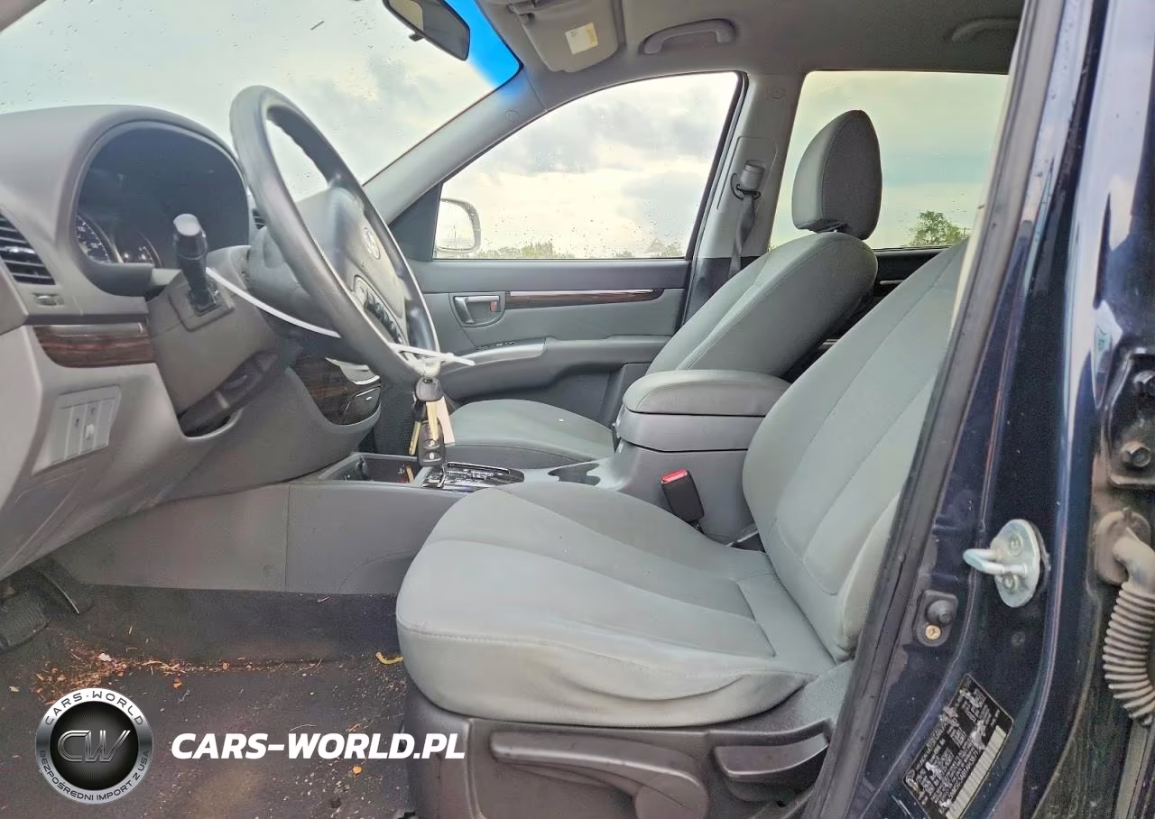2010 Hyundai Santa Fe Gls VIN:5NMSG3AB1AH387133 - 7