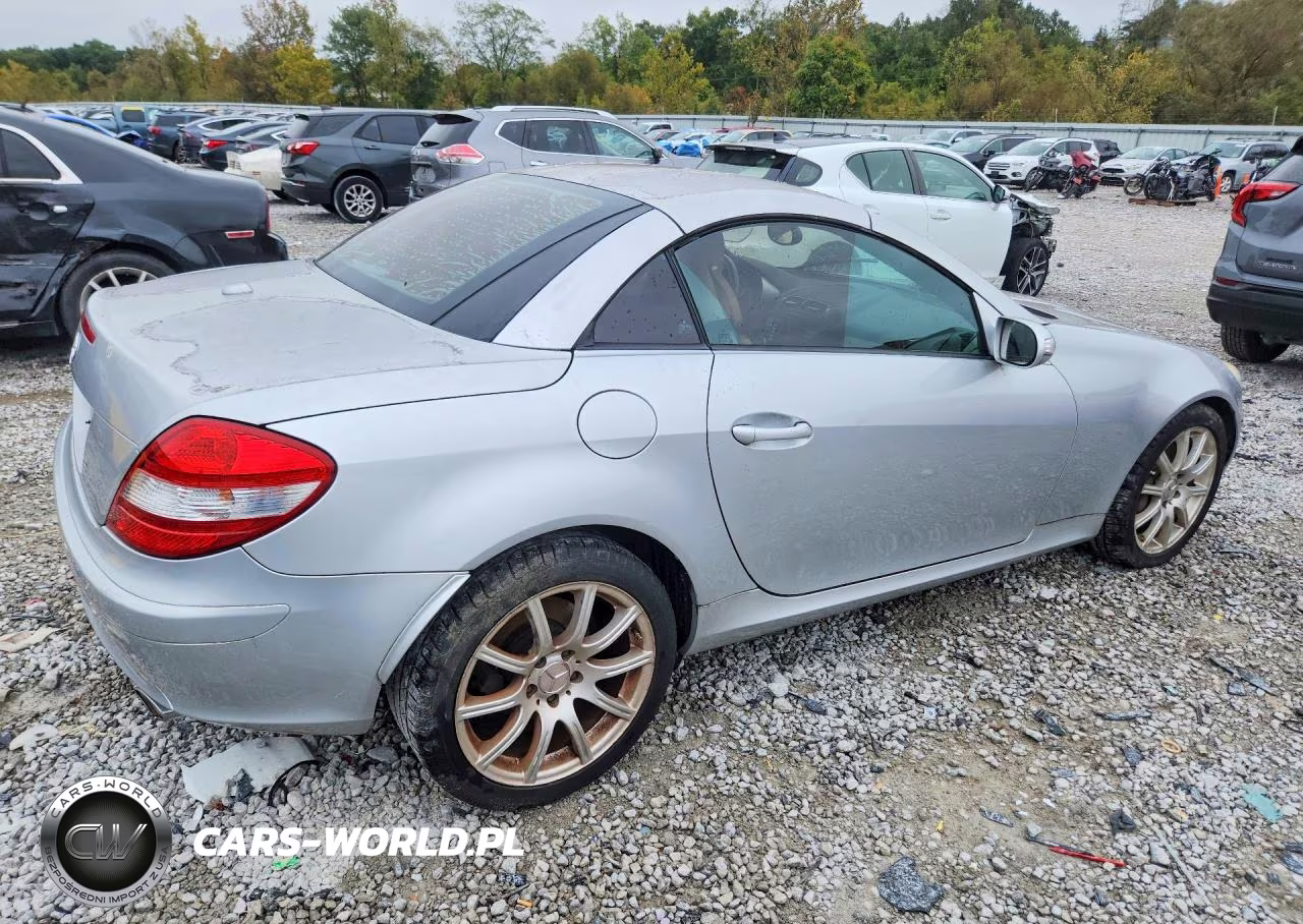 2006 Mercedes-Benz Slk 350 VIN:WDBWK56F06F099744 - 3