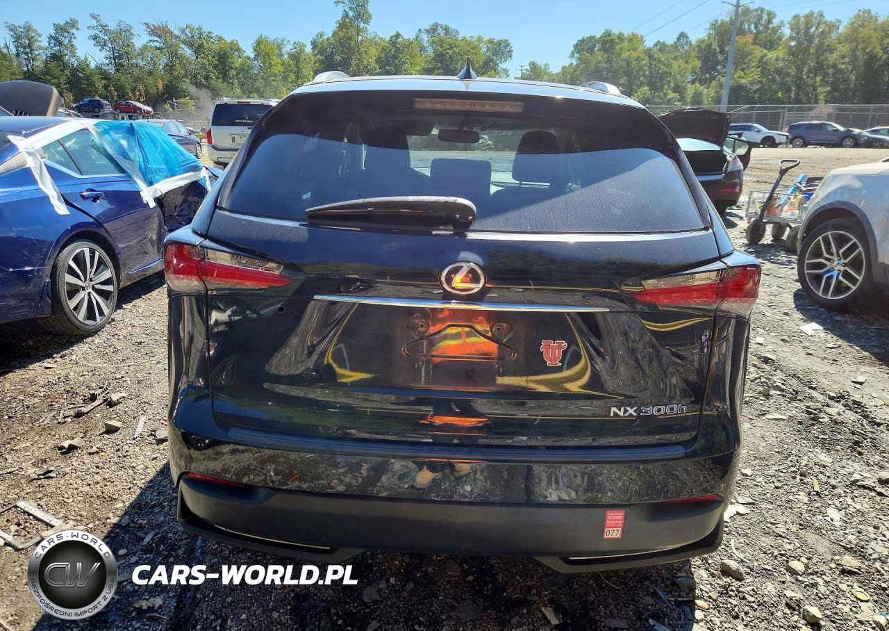 2015 Lexus Nx 300H VIN:JTJBJRBZXF2026461 - 6
