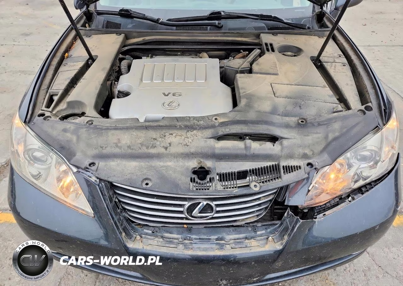 2009 Lexus Es 350 VIN:JTHBJ46G092325359 - 11