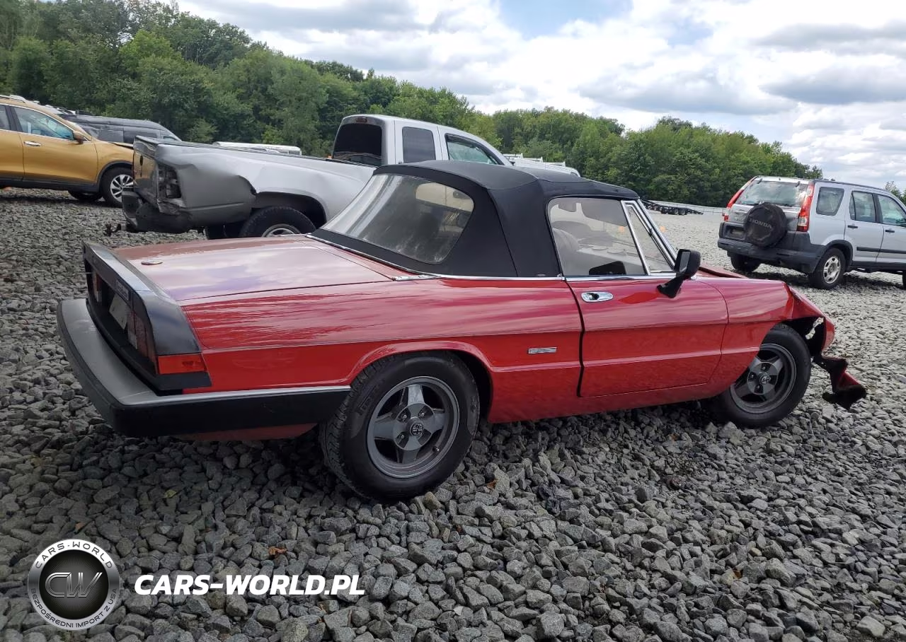 1986 Alfa Romeo Veloce 2000 Spider VIN:ZARBA5412G1044047 - 3