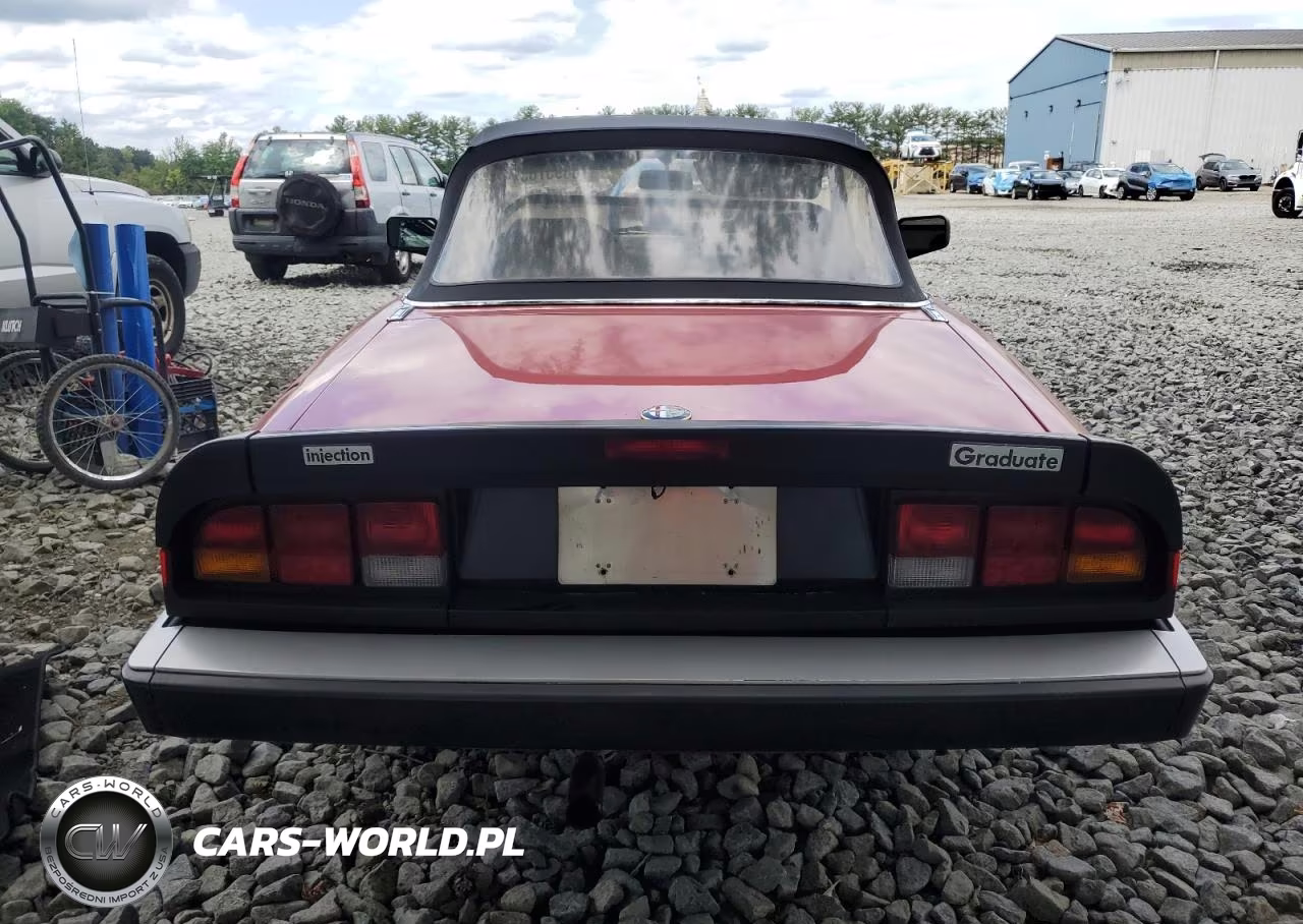 1986 Alfa Romeo Veloce 2000 Spider VIN:ZARBA5412G1044047 - 6