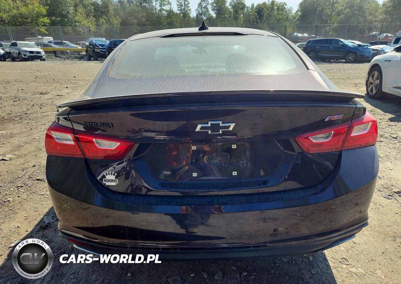2020 Chevrolet Malibu Rs VIN:1G1ZG5ST2LF141119 - 6