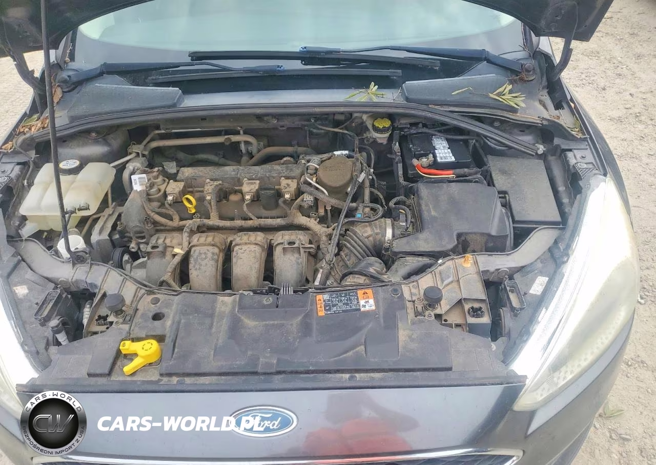 2015 Ford Focus Se VIN:1FADP3F27FL323773 - 11