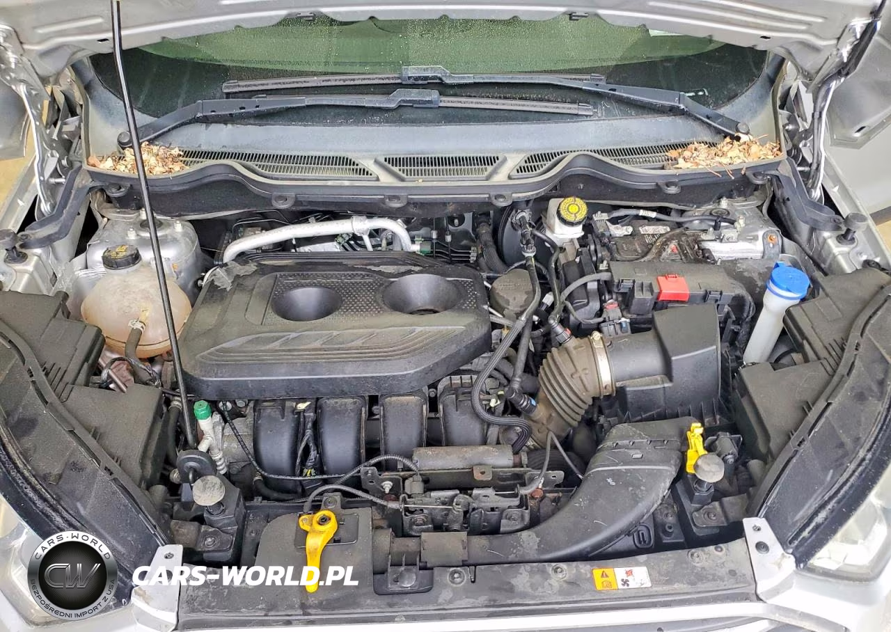 2020 Ford Ecosport Se VIN:MAJ6S3GL2LC343973 - 12