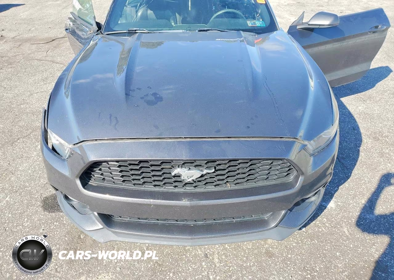 2017 Ford Mustang VIN:1FATP8UH0H5273452 - 11