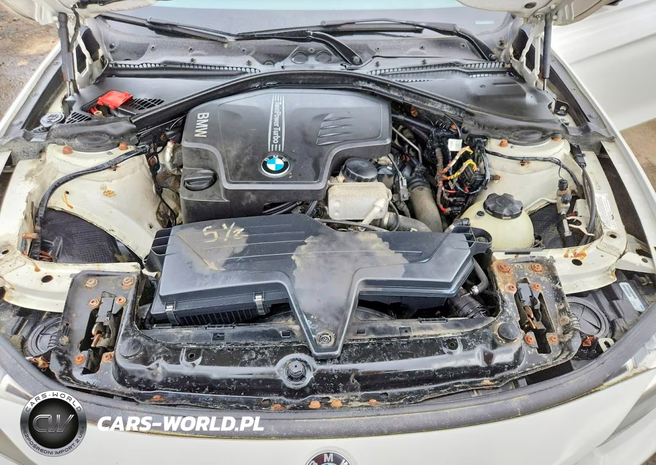 2013 BMW 320 I xDrive VIN:WBA3C3C55DF979561 - 11