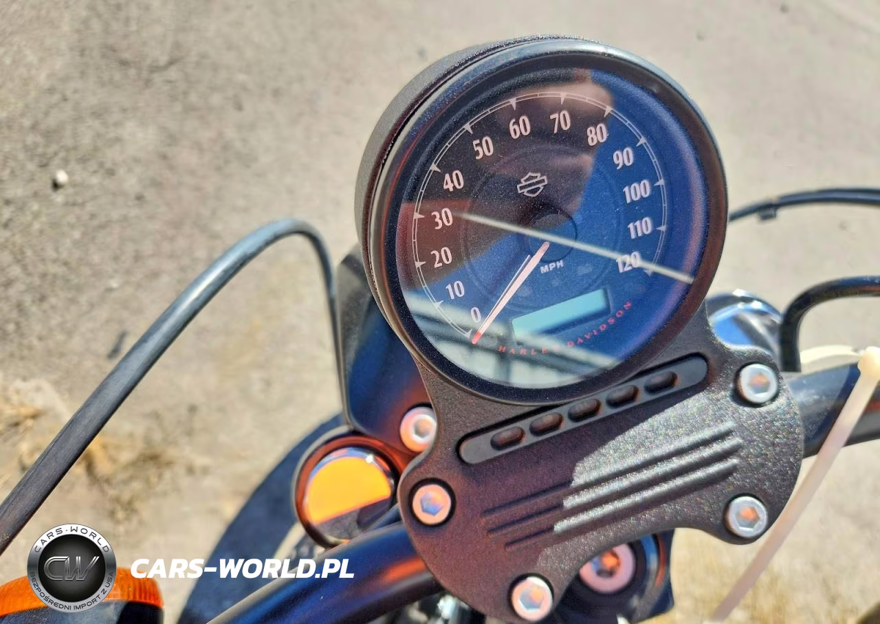 2021 Harley-Davidson Xl883 N VIN:1HD4LE219MB416696 - 7