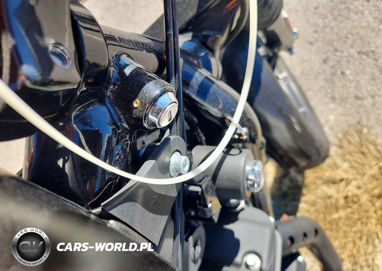 2021 Harley-Davidson Xl883 N VIN:1HD4LE219MB416696 - 8