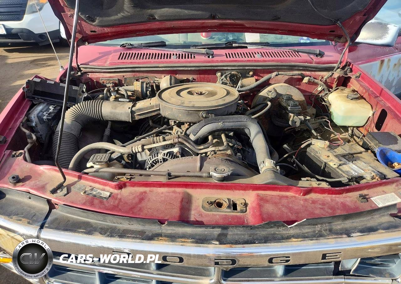 1996 Dodge Dakota VIN:1B7GG23Y9TS565895 - 11