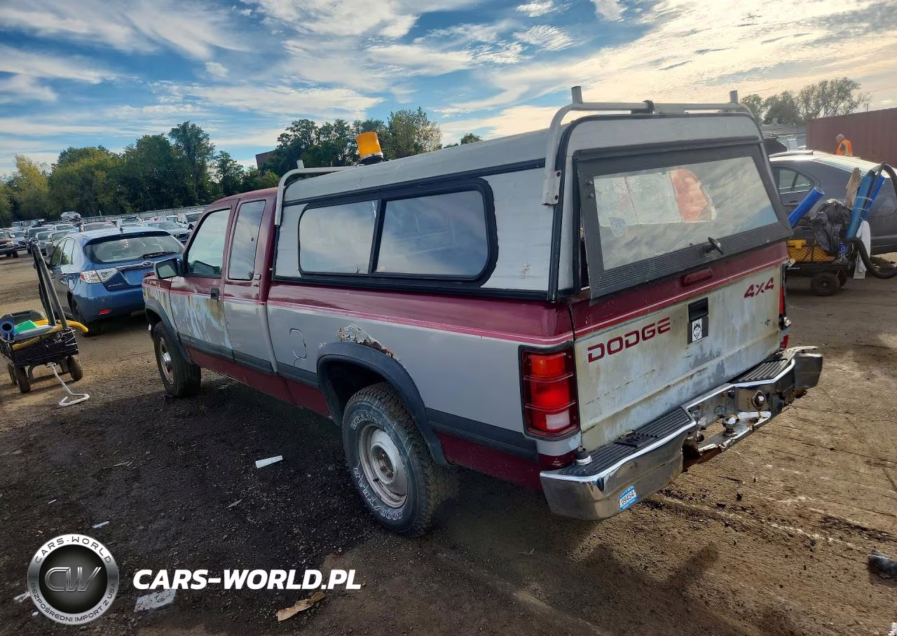 1996 Dodge Dakota VIN:1B7GG23Y9TS565895 - 2