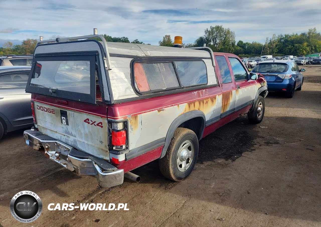 1996 Dodge Dakota VIN:1B7GG23Y9TS565895 - 3