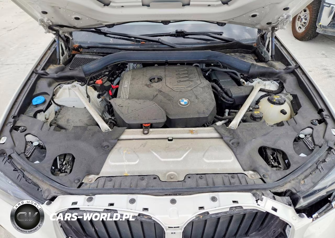 2023 BMW X3 Sdrive30I VIN:5UX43DP02P9P48890 - 12