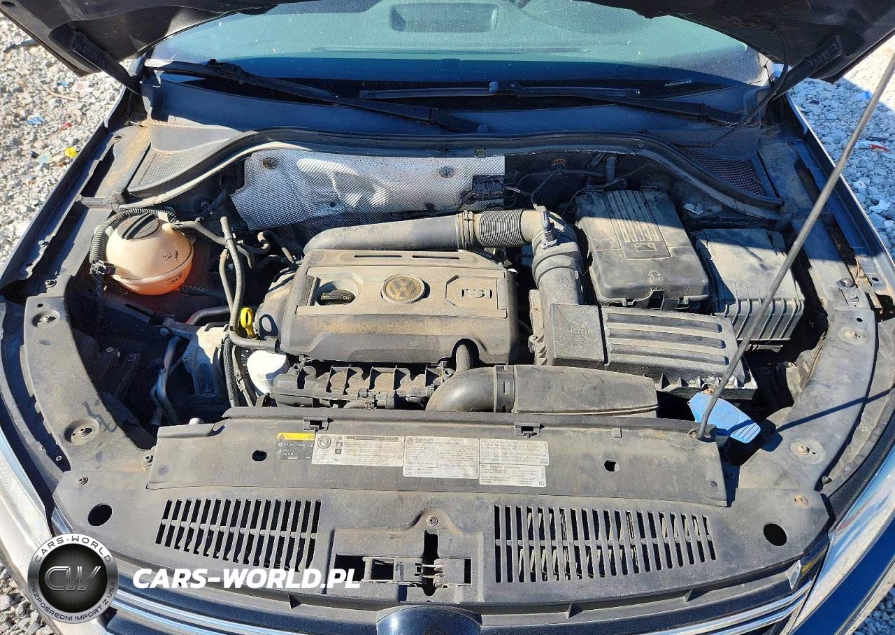 2015 Volkswagen Tiguan S VIN:WVGBV7AX1FW575885 - 12