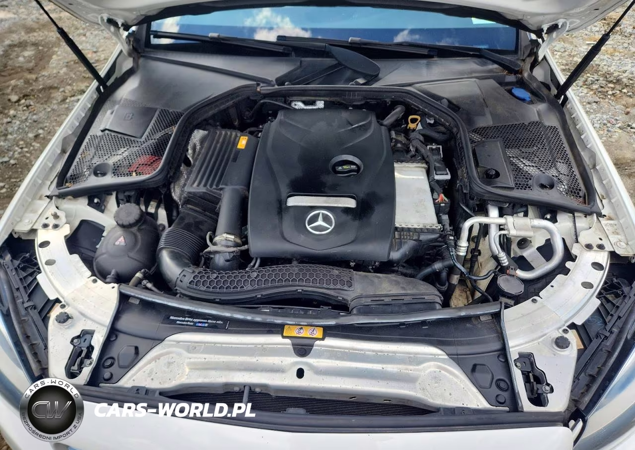 2018 Mercedes-Benz C 300 VIN:55SWF4JB5JU276272 - 11