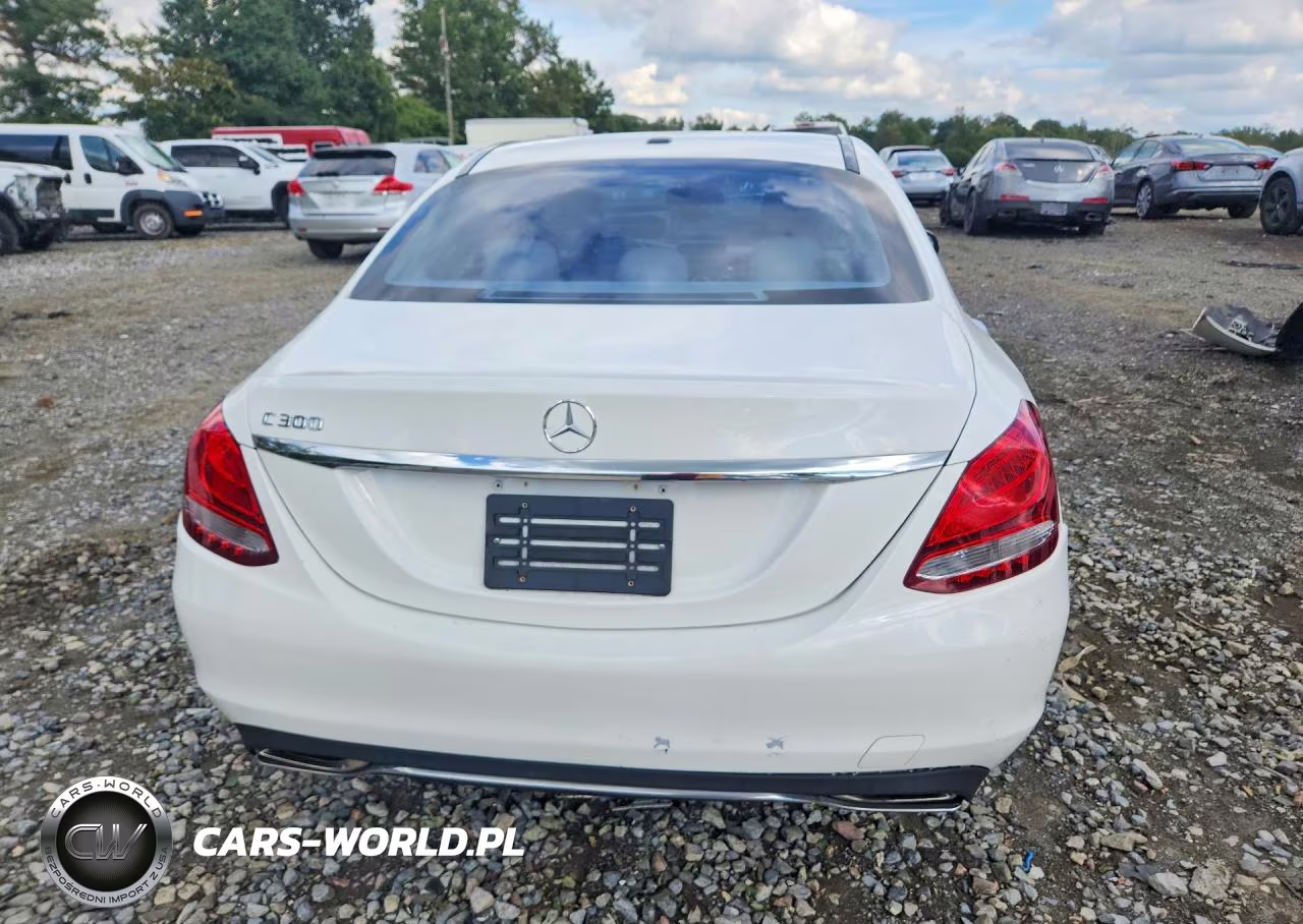 2018 Mercedes-Benz C 300 VIN:55SWF4JB5JU276272 - 6