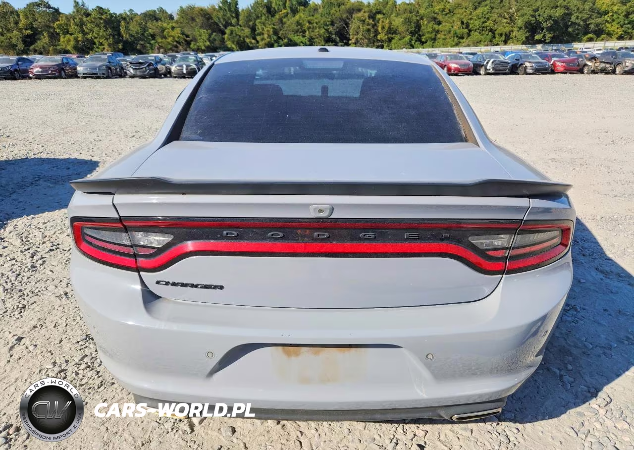 2020 Dodge Charger Sxt VIN:2C3CDXBG2LH195589 - 6