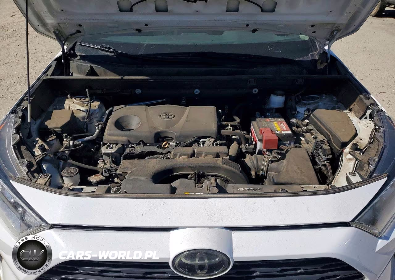 2019 Toyota Rav4 Xle VIN:2T3P1RFV9KC013557 - 11