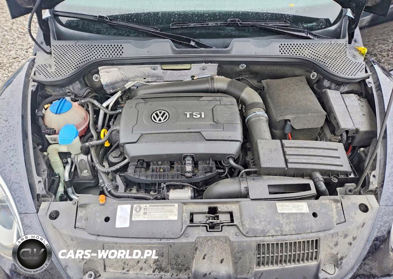 2013 Volkswagen Beetle Turbo VIN:3VWVT7AT8DM687744 - 11