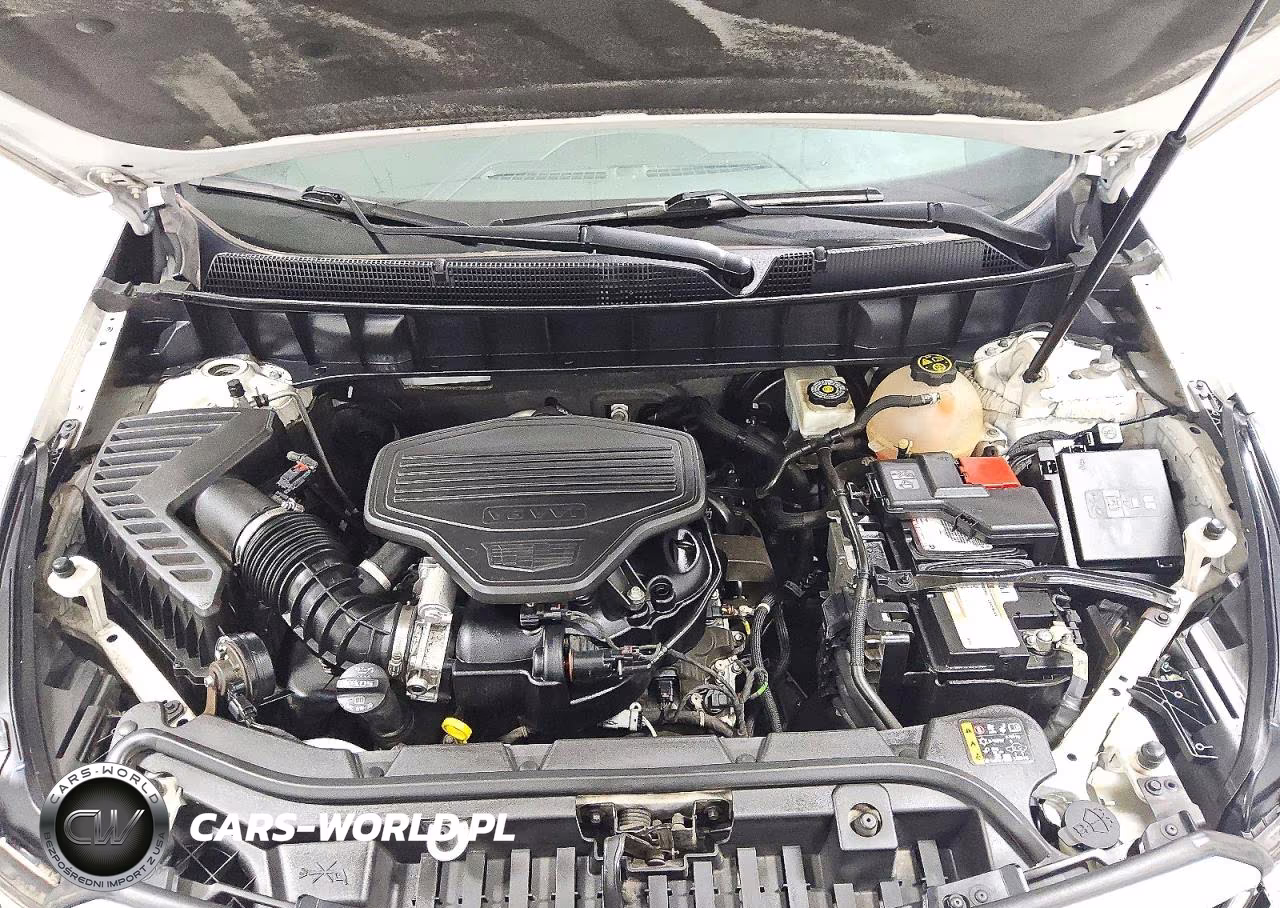 2019 Cadillac Xt5 VIN:1GYKNARS2KZ117673 - 12