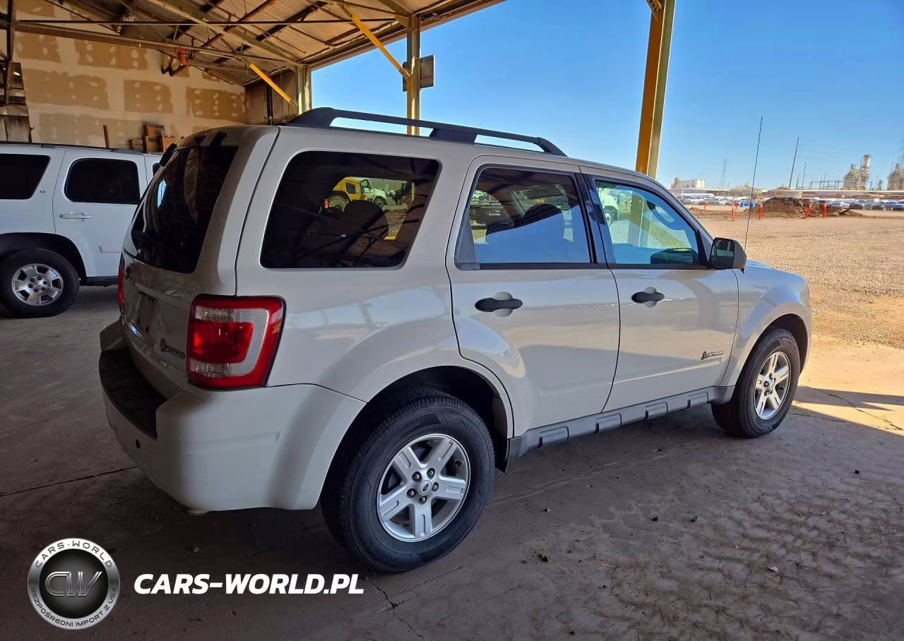 2009 Ford Escape Hybrid VIN:1FMCU49339KA70045 - 3