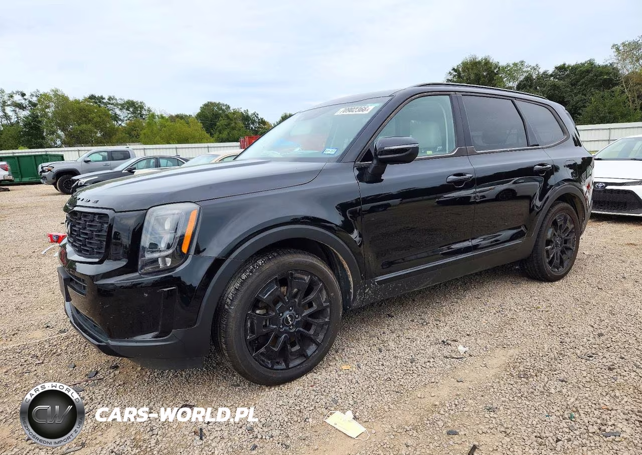 2022 Kia Telluride Ex VIN:5XYP3DHC1NG204206 - 1