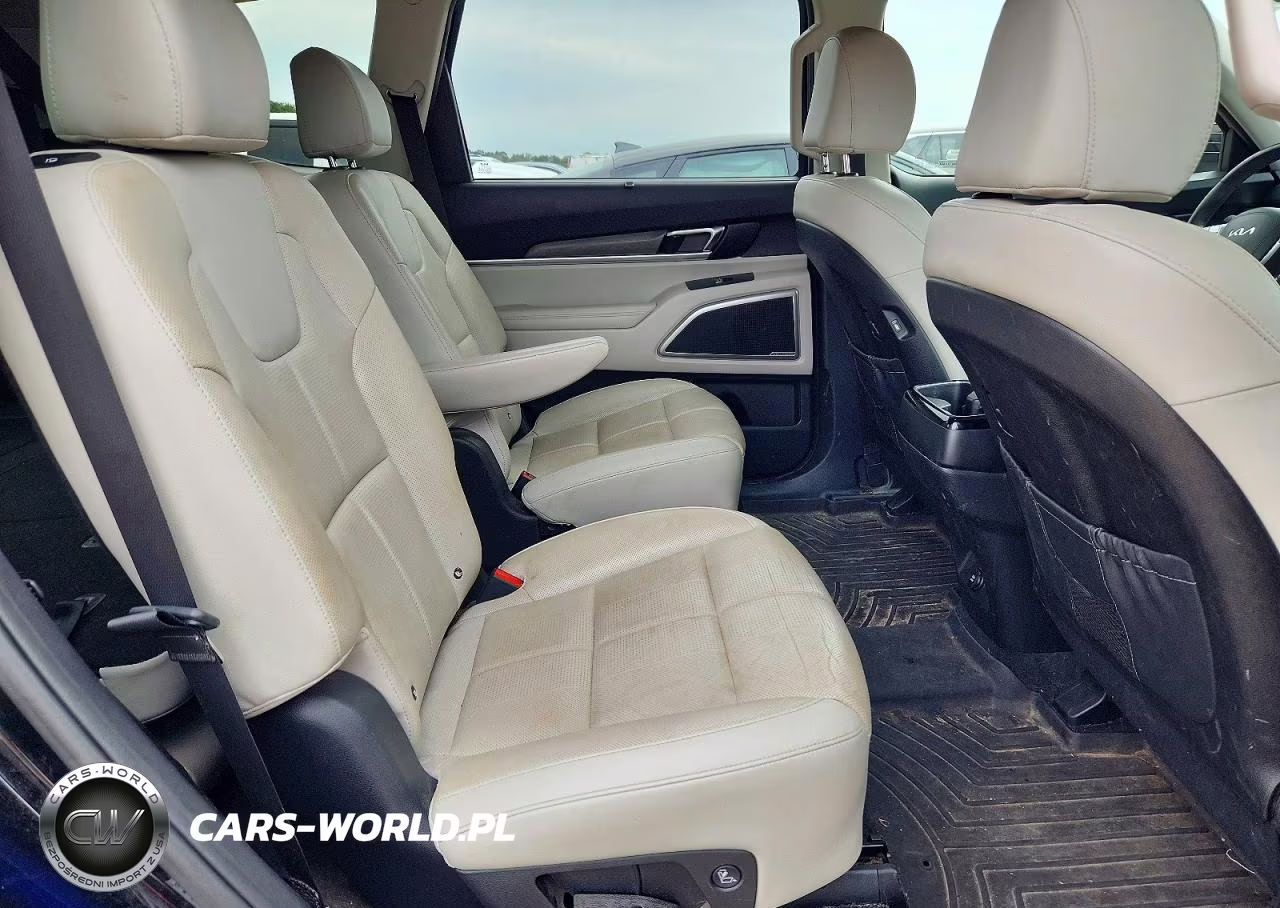 2022 Kia Telluride Ex VIN:5XYP3DHC1NG204206 - 10