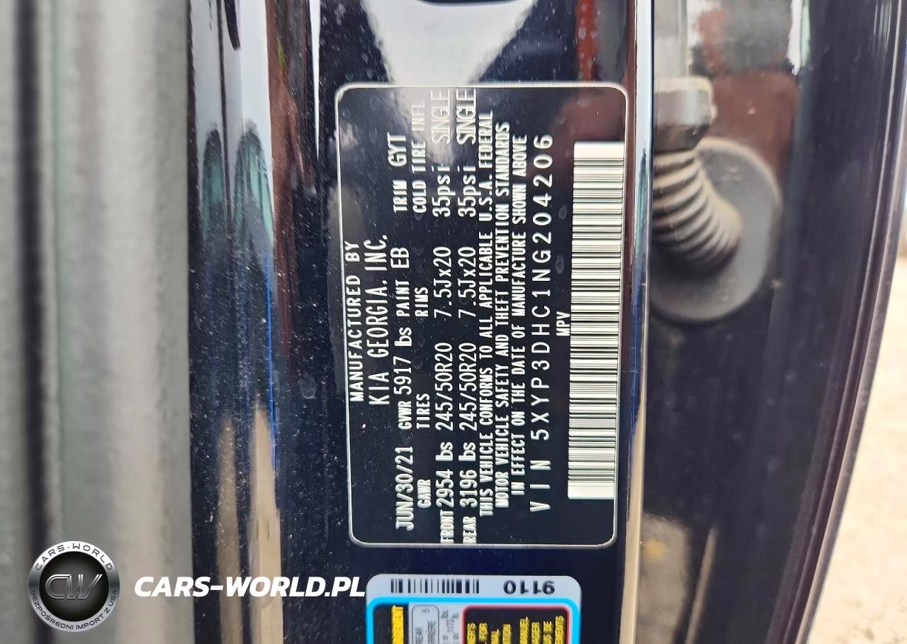 2022 Kia Telluride Ex VIN:5XYP3DHC1NG204206 - 12