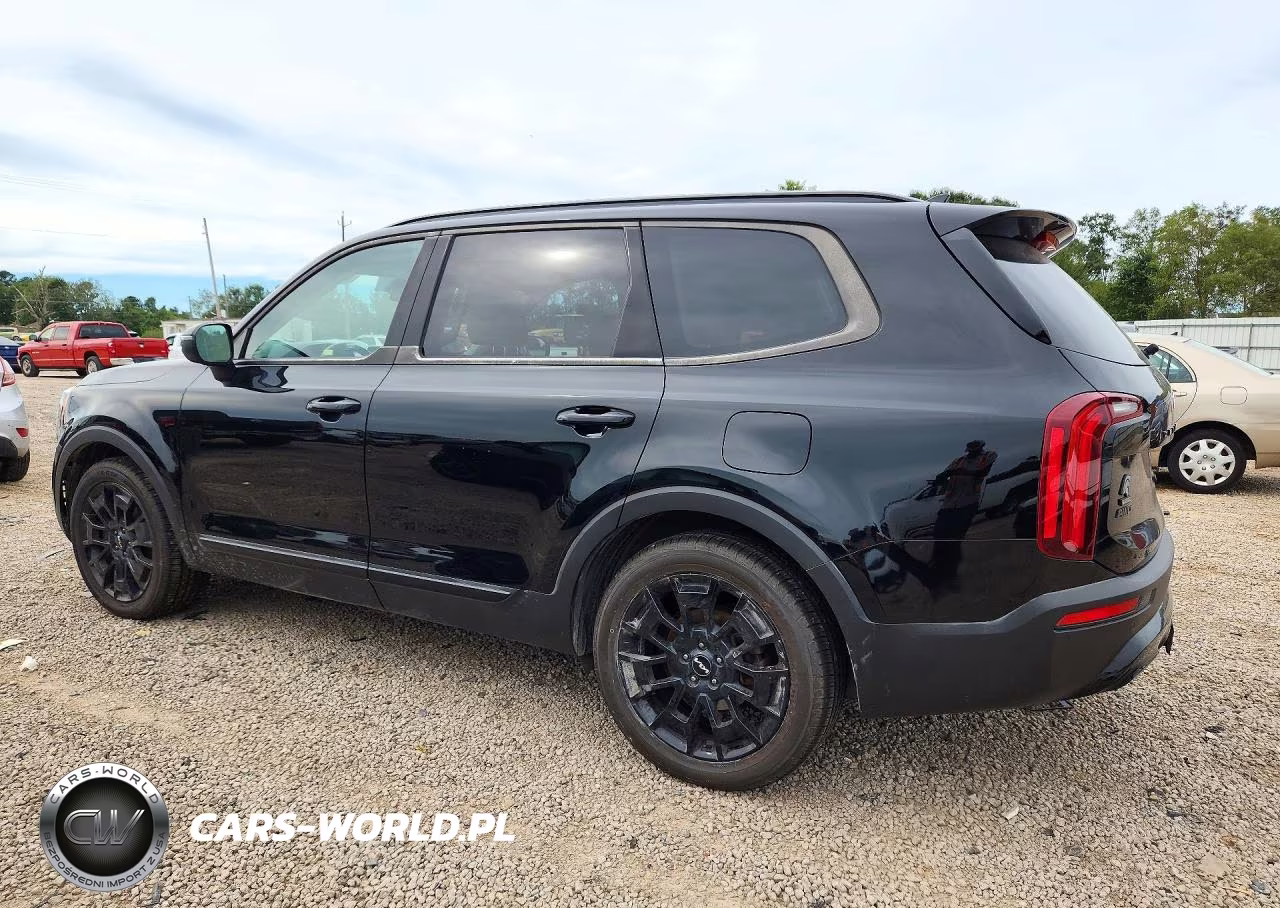 2022 Kia Telluride Ex VIN:5XYP3DHC1NG204206 - 2