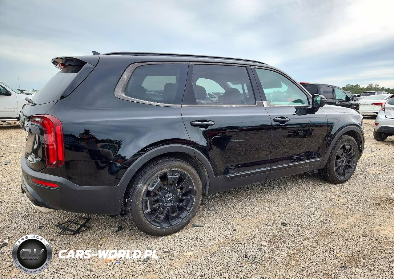 2022 Kia Telluride Ex VIN:5XYP3DHC1NG204206 - 3