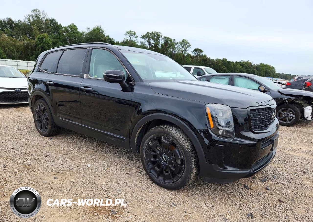 2022 Kia Telluride Ex VIN:5XYP3DHC1NG204206 - 4