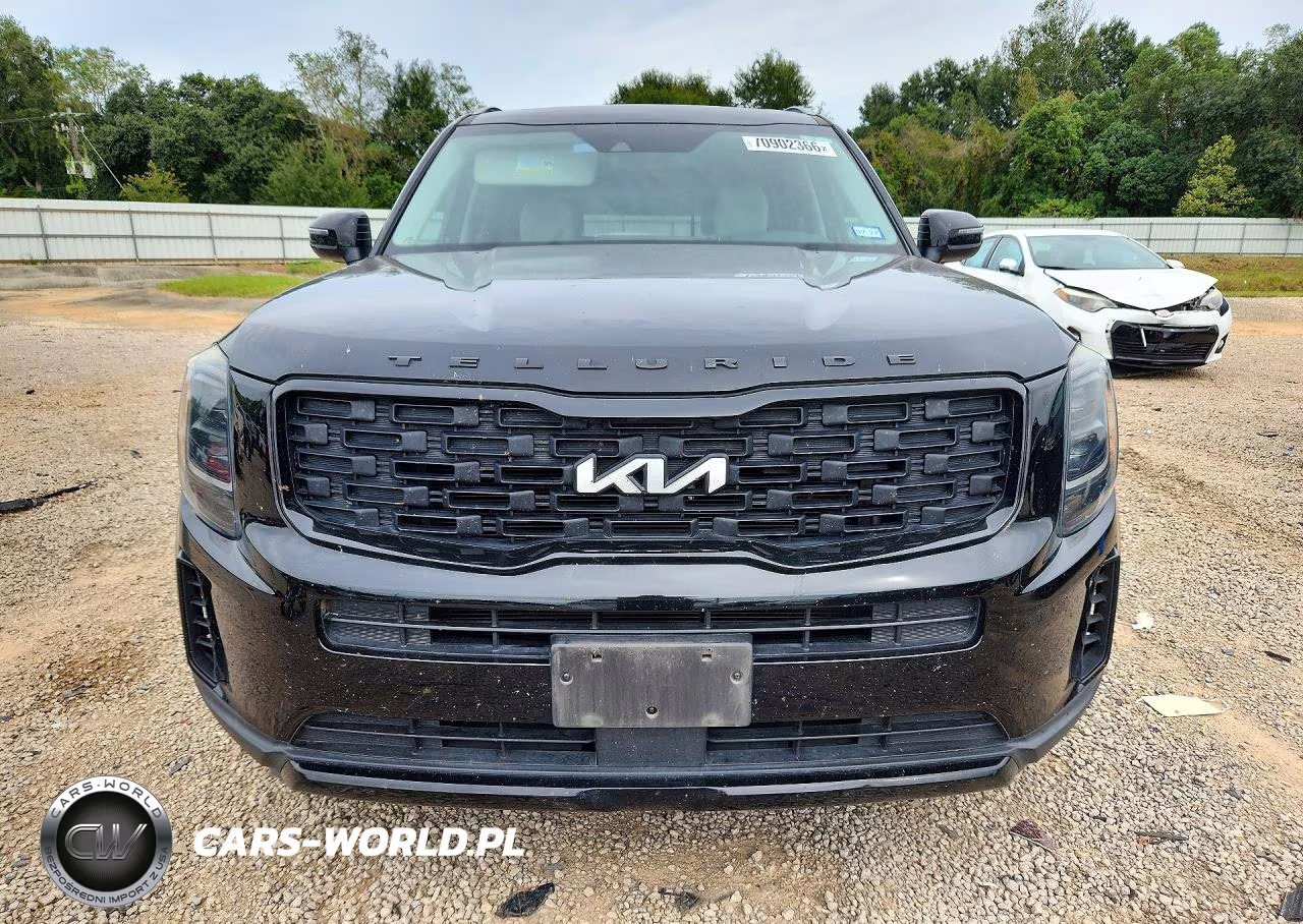 2022 Kia Telluride Ex VIN:5XYP3DHC1NG204206 - 5