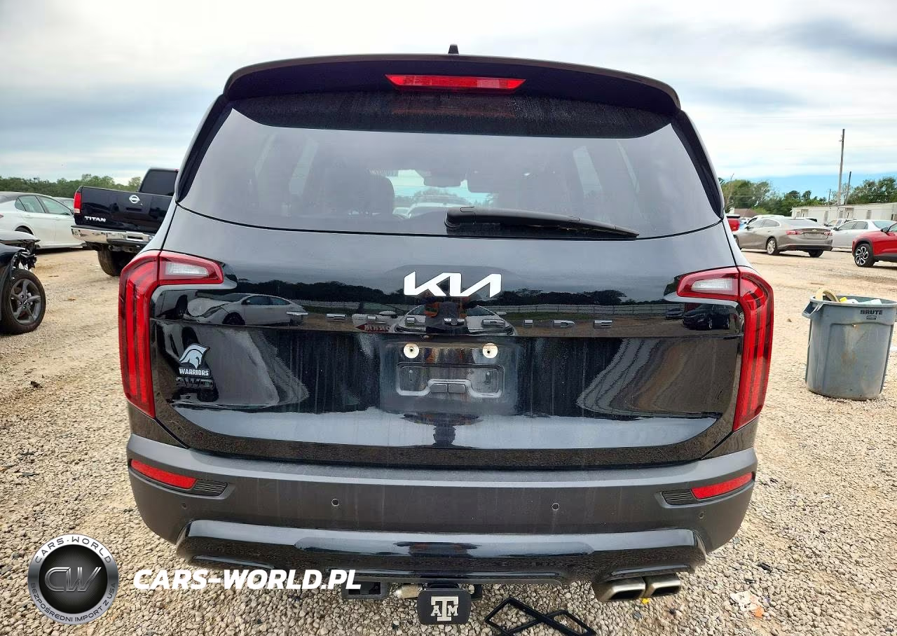 2022 Kia Telluride Ex VIN:5XYP3DHC1NG204206 - 6