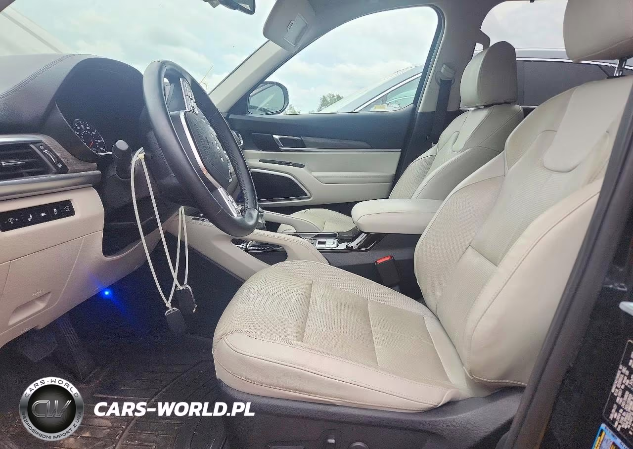2022 Kia Telluride Ex VIN:5XYP3DHC1NG204206 - 7