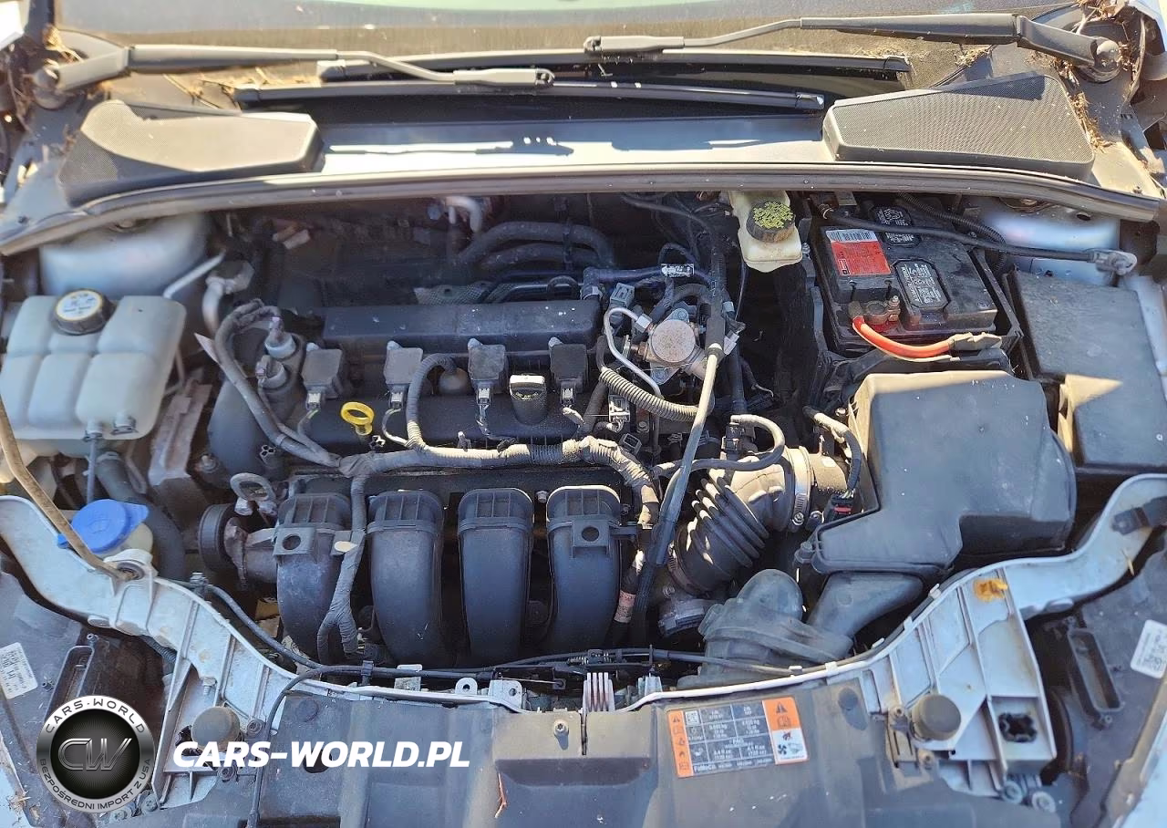 2017 Ford Focus Se VIN:1FADP3F23HL313292 - 11