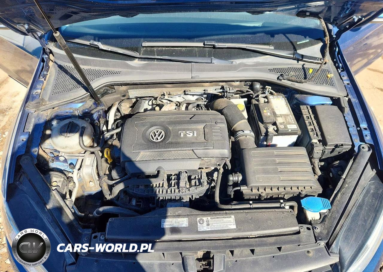 2016 Volkswagen Golf Sportwagen S VIN:3VWC17AU7GM513240 - 12