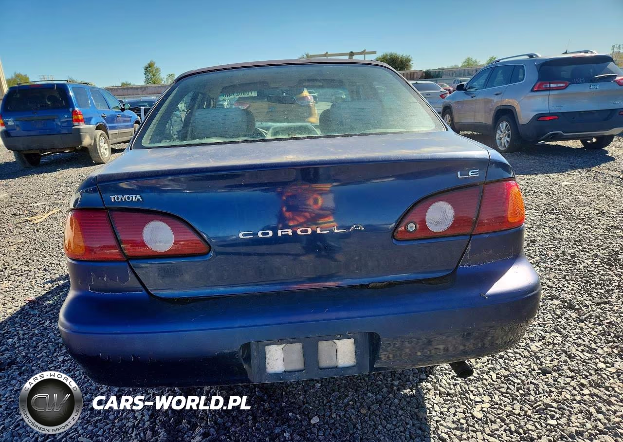 2001 Toyota Corolla Le VIN:1NXBR12E81Z518117 - 6