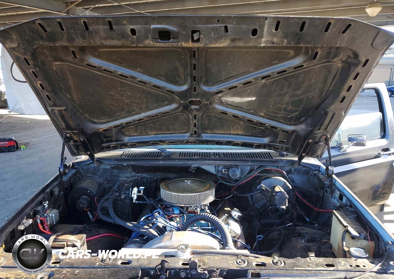 1981 Ford F100 VIN:1FTCF10E7BPA37246 - 11