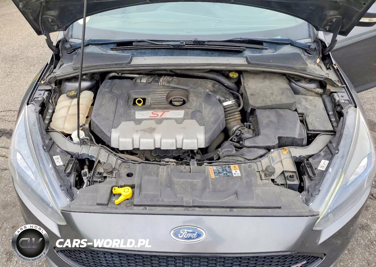 2018 Ford Focus St VIN:1FADP3L99JL303406 - 11