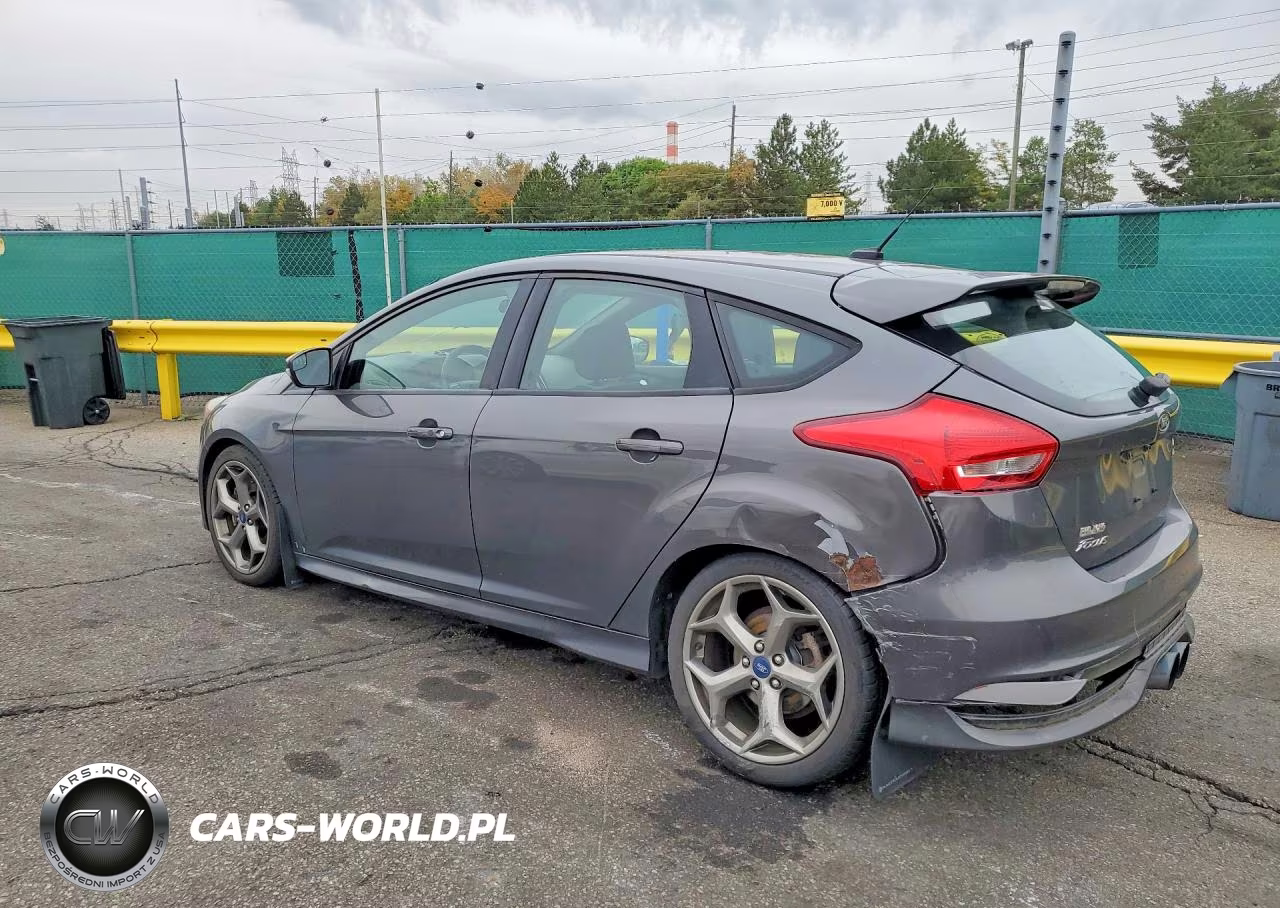 2018 Ford Focus St VIN:1FADP3L99JL303406 - 2