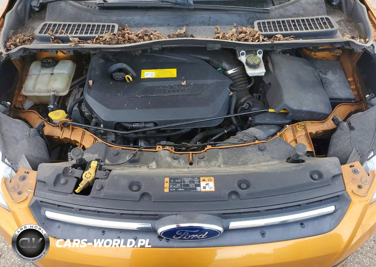 2016 Ford Escape Se VIN:1FMCU0GX2GUB56902 - 12