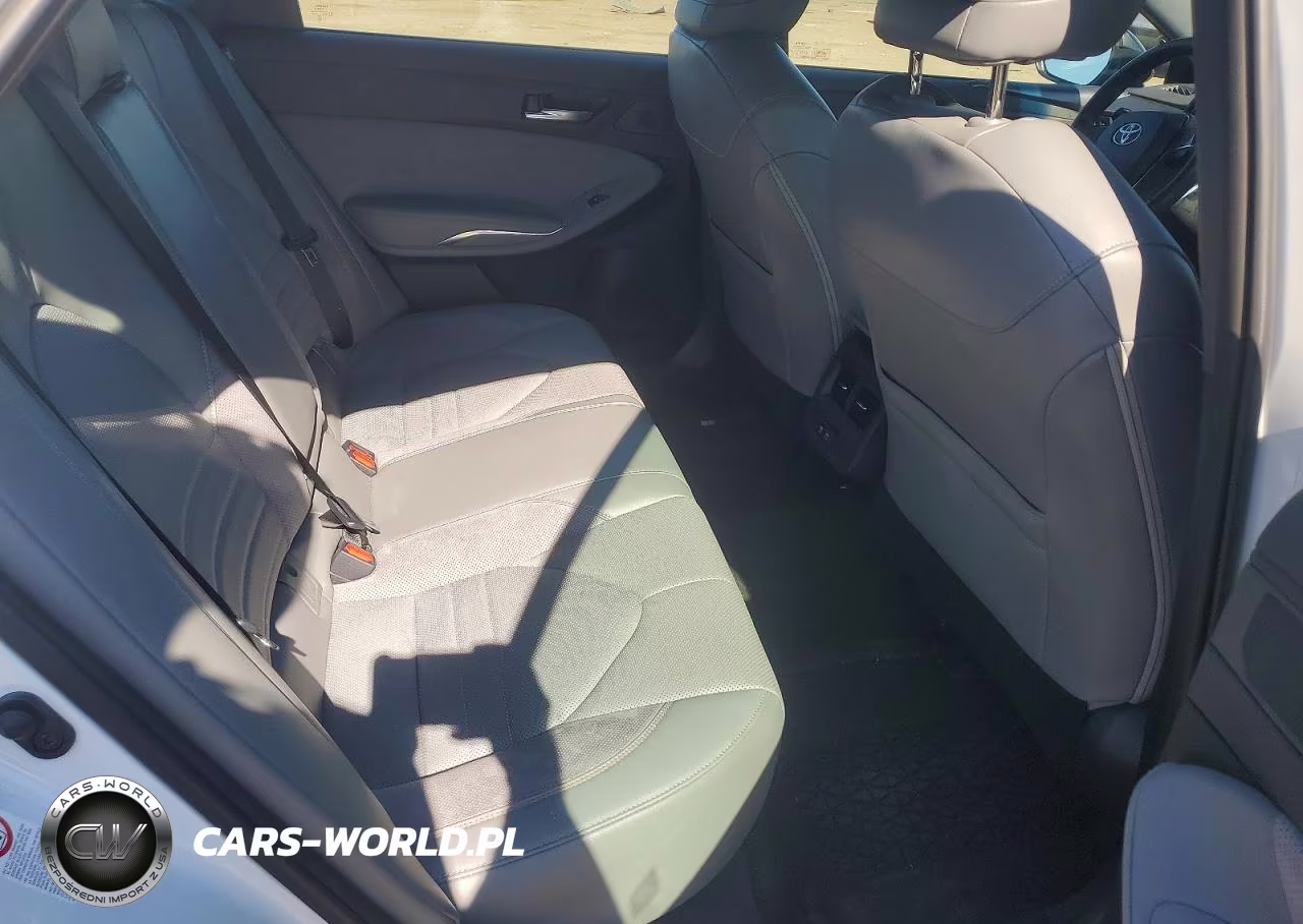 2019 Toyota Avalon Xse VIN:4T1BZ1FB6KU003585 - 10