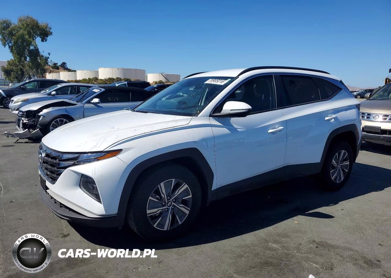 2023 Hyundai Tucson Blue